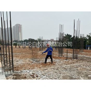 广州新建工程预防白蚁